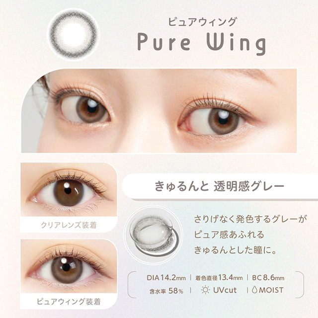 [Contact lenses] EverColor1day nicori [10 lenses / 1Box] / Daily Disposal 1Day Disposable Colored Contact Lens DIA14.2mm<!-- エバーカラーワンデーニコリ 1箱10枚入 □Contact Lenses□-->